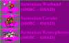 cimbris sarmatians.gif