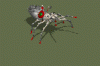 spiderdeathalt.gif