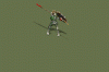 skeletonattack.gif