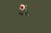 northwestattack.gif