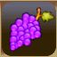 Grapes_Button.jpg