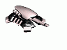 Fusion Tank.gif