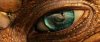 Eustance the Dragon's Eye Avatar.jpg