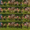 native_units1.jpg