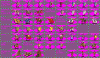 BeBro_Medieval1.gif