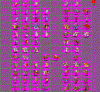 BeBro_Medieval2.gif