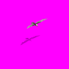 earlypreviewbaldeagle.png