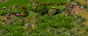 Slovenes.png