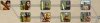 Units.JPG