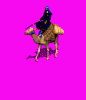 BedouinRun.gif