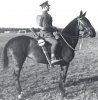 British Cavalry WWI.jpg