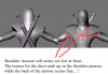 shoulder armour glitch 2.png