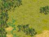 forest.jpg