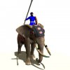 elephantrider.jpg
