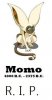momo.jpg