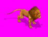 Lion.jpg