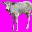 Zebu.jpg