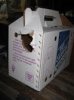 Cat box.jpeg