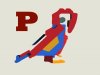 parrot.jpg