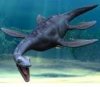 Plesiosaur.JPG
