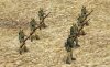afrika korps side.jpg