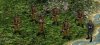 russian liberation army front.jpg
