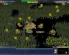 Black_start.jpg