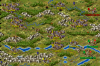 roadtovienna.png