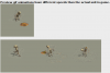 Animated_gif_Lines.png