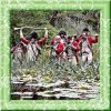 StuckInSwamp.jpg