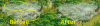 new file.png