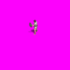 Attack2.gif