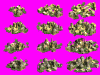 ramer.gif