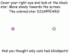 blindspot.gif