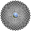 zinnia.gif