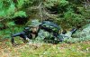prone-rifleman.jpg