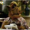 alf.jpg