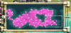 map.gif