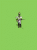 austrianlinepreview.gif