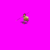 Greek Ekdromoi V-IV C.gif