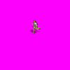 Archer.gif