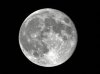 moon.jpg