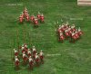 Poland_01.jpg