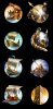 Ancient_World_8Units_Atlas_256.jpg