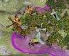 Civ4ScreenShot0069.JPG