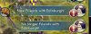 policy-cs.jpg