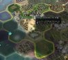 citystate bug.jpg