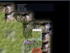 Delta.jpg