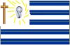 IOT VIII FLag.jpg