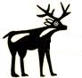 Elk Image.jpg